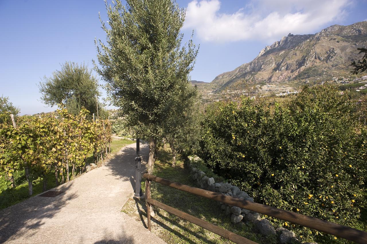 Park Hotel Terme Mediterraneo Forio  Exterior photo